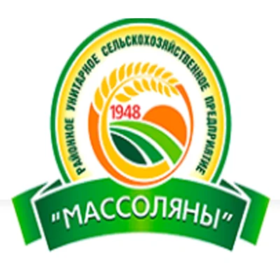 Организация 3